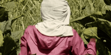 Mujeres del Tabacal, un documental de Belén Revollo