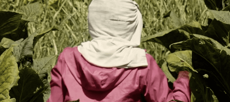 Mujeres del Tabacal, un documental de Belén Revollo