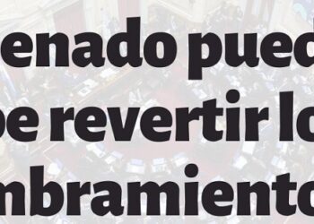 Corte Suprema: organizaciones de la sociedad civil le pidieron al Senado que revierta los nombramientos de Lijo y García-Mansilla