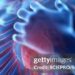 El corazón tiene su propio cerebro y regula latidos de forma más compleja de  lo que se creía