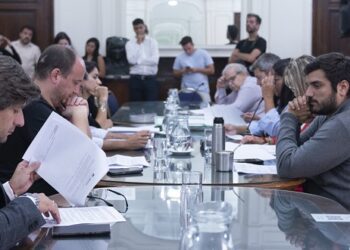 Se realizaron tres audiencias públicas y se reunió la comisión de Turismo y Deportes