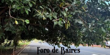 Palermo es una suerte de capital cultural en Buenos Aires