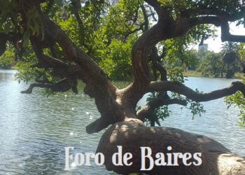 El Rosedal de Palermo permanecerá abierto durante el feriado largo