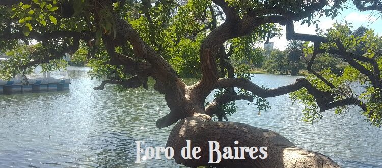 El Rosedal de Palermo permanecerá abierto durante el feriado largo