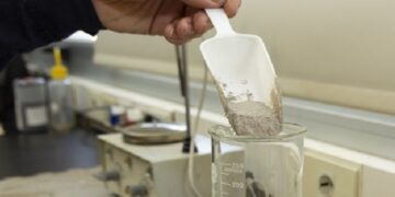 El INTI patentó un adhesivo a base de proteínas de insectos para la producción de aglomerado libre de formaldehído
