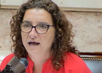 Procesaron a la Diputada Vanina Biasi por postear expresiones antisemitas