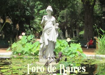 Varias esculturas del Jardín Botánico fueron restauradas