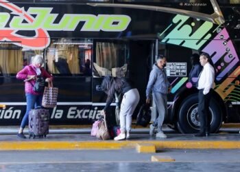 Choferes de carga y pasajeros: la Ciudad comenzó a emitir licencias de conducir interjurisdiccionales