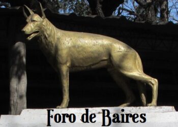 Hoy es en día nacional del perro en Argentina, en homenaje a Chonino