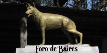 Hoy es en día nacional del perro en Argentina, en homenaje a Chonino