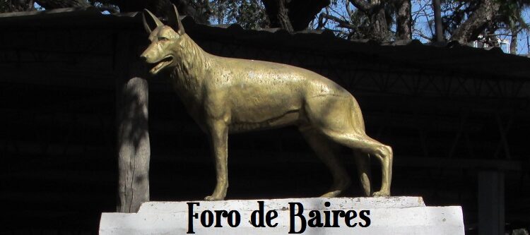 Hoy es en día nacional del perro en Argentina, en homenaje a Chonino