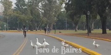 Escapadas más austeras: en los dos fines de semana de junio viajaron más de 2,1 millones de turistas y gastaron $ 412.372 millones