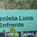 La Huerta Luna de Enfrente: mucho verde con caminos rectos de hortalizas floridas en el día mundial del medio ambiente