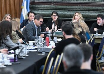 Las comisiones avanzaron con el debate de distintos temas de cara a las próximas sesiones