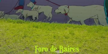 Una obra con murales de 220 metros lineales en Juan B Justo, entre Paraguay y Soler, embellece la avenida