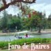 Llega la poda anual al Rosedal de Palermo donde se reparten esquejes a los vecinos