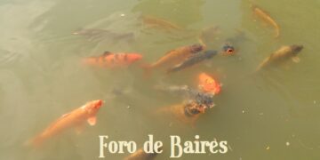 Científicos confirman que los peces sienten dolor «intenso e inimaginable» durante hasta 25 minutos después de ser atrapados