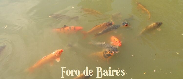 Científicos confirman que los peces sienten dolor «intenso e inimaginable» durante hasta 25 minutos después de ser atrapados