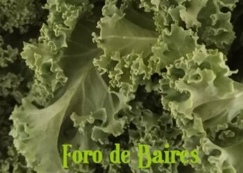 El Bolsón Soberano es la alternativa agroecológica que crece en la FAUBA
