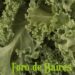 El Bolsón Soberano es la alternativa agroecológica que crece en la FAUBA