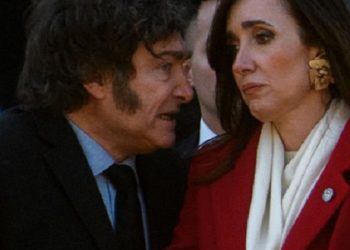 Si bien la imagen de Javier Milei viene en caída, todavía se posiciona como uno de los favoritos