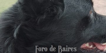 Centros fijos e itinerantes de atención veterinaria