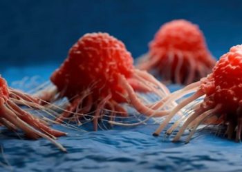 Descubren una vitamina que podría ayudar a prevenir el cáncer de Colon