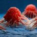 Descubren una vitamina que podría ayudar a prevenir el cáncer de Colon