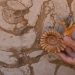 Se abre la convocatoria para participar en la Semana de Arqueología y Paleontología