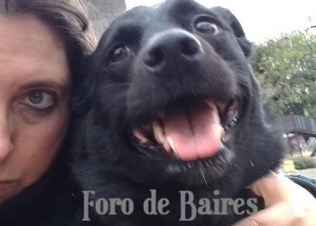 La ciencia confirma que los perros nos aman de verdad y sin condición