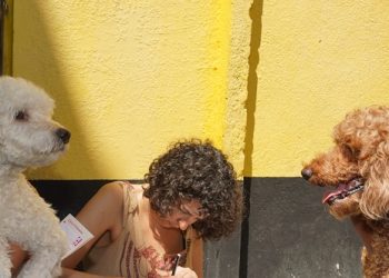 «Más servicios en tu barrio» vuelve a sumar atención por la tarde dos lunes al mes a partir de esta semana