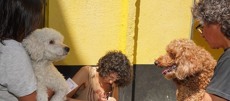 «Más servicios en tu barrio» vuelve a sumar atención por la tarde dos lunes al mes a partir de esta semana
