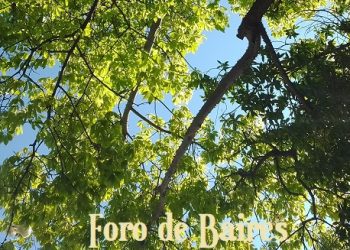 El pronóstico indica que se viene un fin de año con calor extremo en casi todo el país