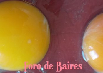 ¿Comer huevo en el desayuno es bueno o malo?