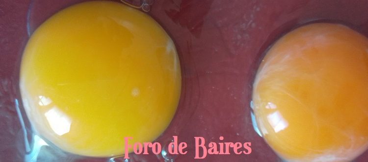 ¿Comer huevo en el desayuno es bueno o malo?