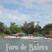 El embarcadero y otros sitios del Parque Tres de Febrero son una buena opción para visitar este próximo verano