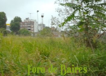 Ya están los turnos para la vacunación contra el Dengue