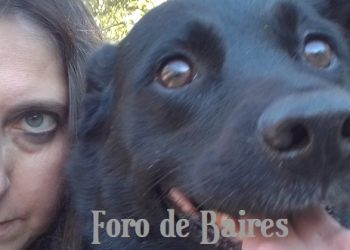 Los 7 puntos que los perros odian de sus dueños