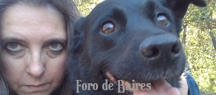 Los 7 puntos que los perros odian de sus dueños