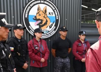 Capacitaron en la Ciudad a fuerzas nacionales e internacionales en búsqueda con canes