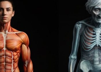 La masa muscular es el verdadeero seguro de vida para la vejez