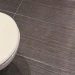 Apretar el botón del inodoro con la tapa abierta dispersa partículas de material fecal por todo el baño