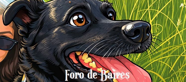 Los perros también pueden sufrir insomnio por estrés
