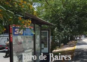Hoy 28 de enero es el día de la Reducción de CO2