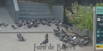 Enero 2026 en la Huerta»Luna de Enfrente»