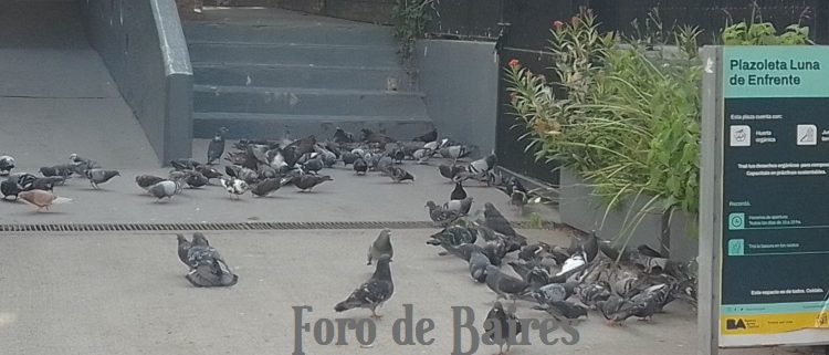 Enero 2026 en la Huerta»Luna de Enfrente»