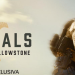 Paramount+ presenta el tráiler oficial del esperado drama “Marshals: una historia de Yellowstone”