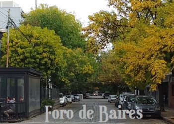 Otoño en la Ciudad: el espectáculo natural que cambia el paisaje porteño