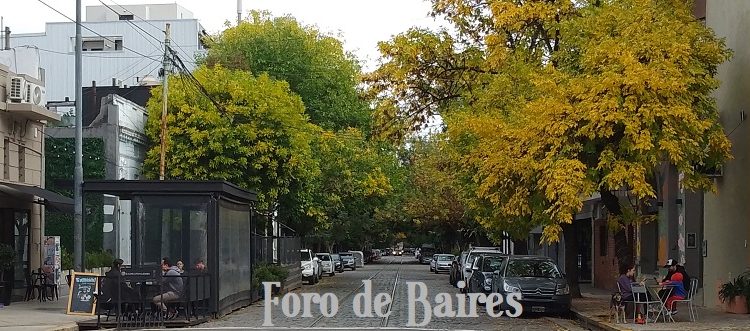 Otoño en la Ciudad: el espectáculo natural que cambia el paisaje porteño