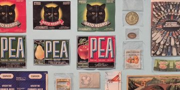 El Museo de la Ciudad exhibirá al público su colección de la imprenta Profumo y Hno.